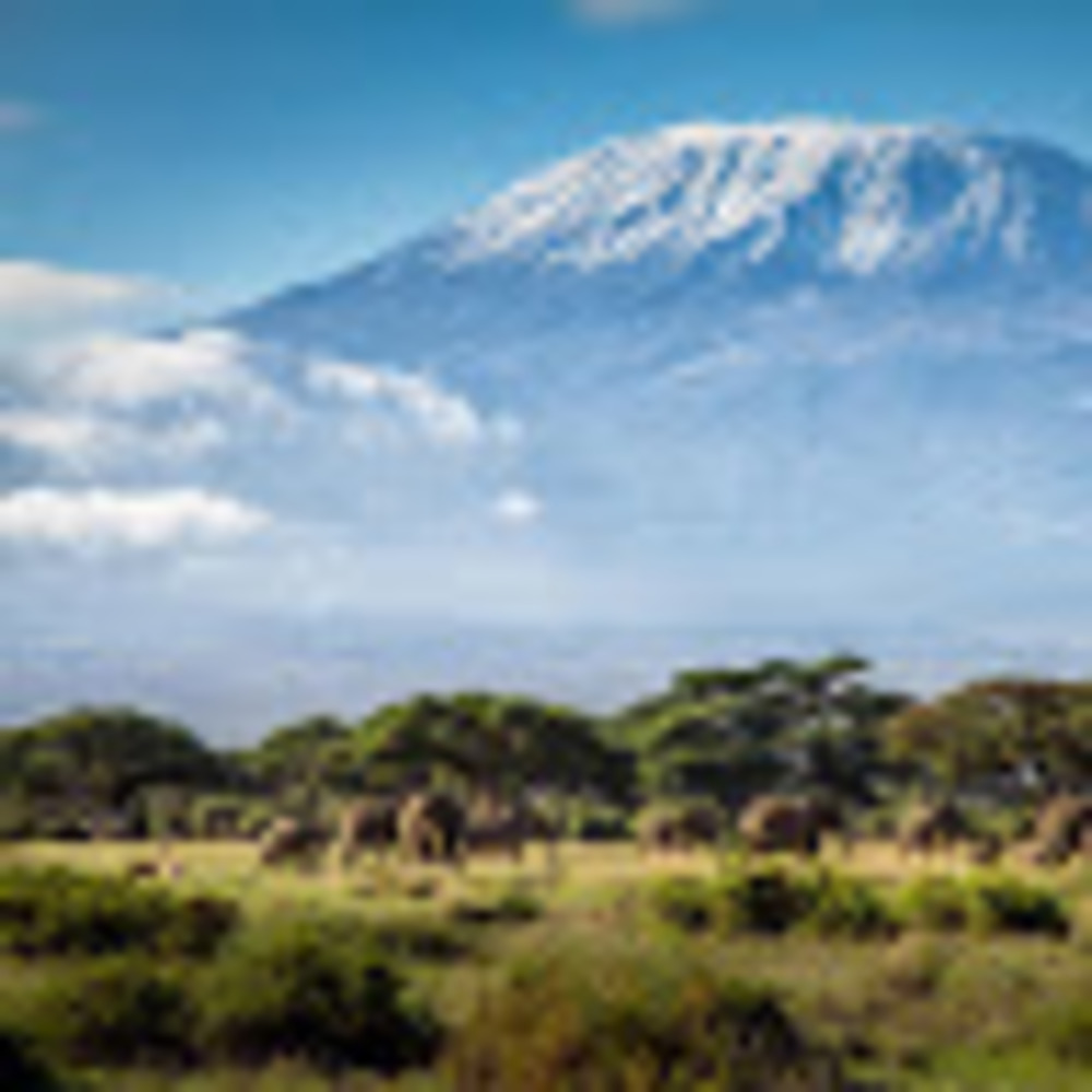 Meet your Posher, Elisabeth